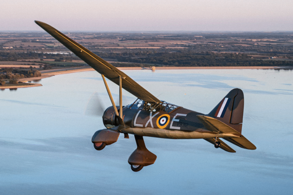 Lysander-Lizzie Experience